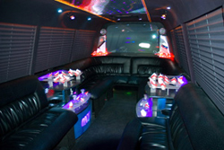 Houston Luxury Bus, Houston Luxury bus